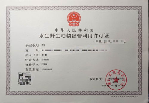 攜手專業力量，共拓水產健康養殖新篇章——誠邀各省市代理加盟